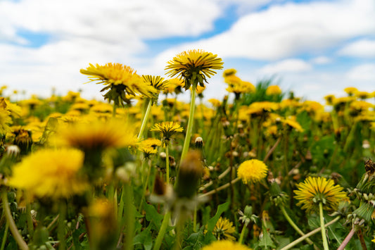 Have an opinion? We hope so!