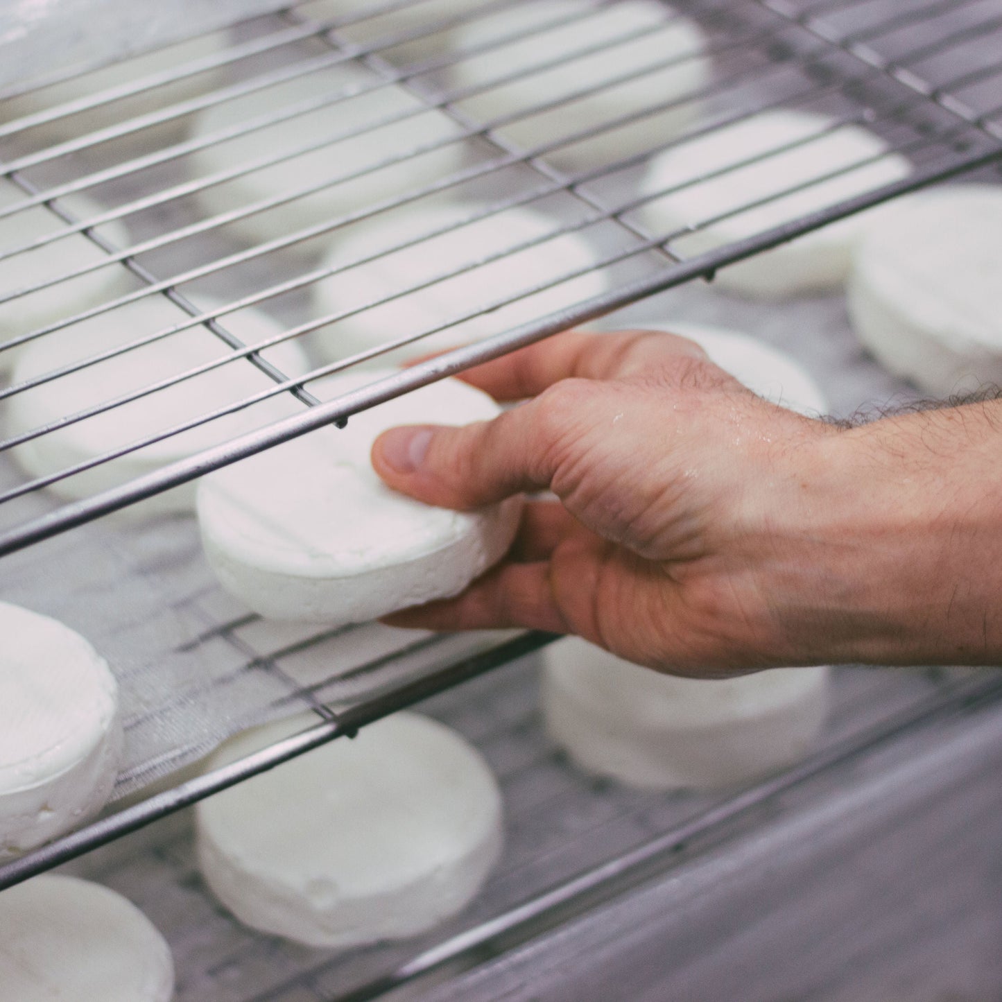 Billy (Goat Camembert)