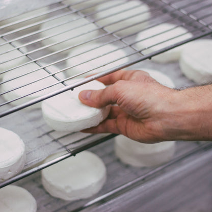 Billy (Goat Camembert)